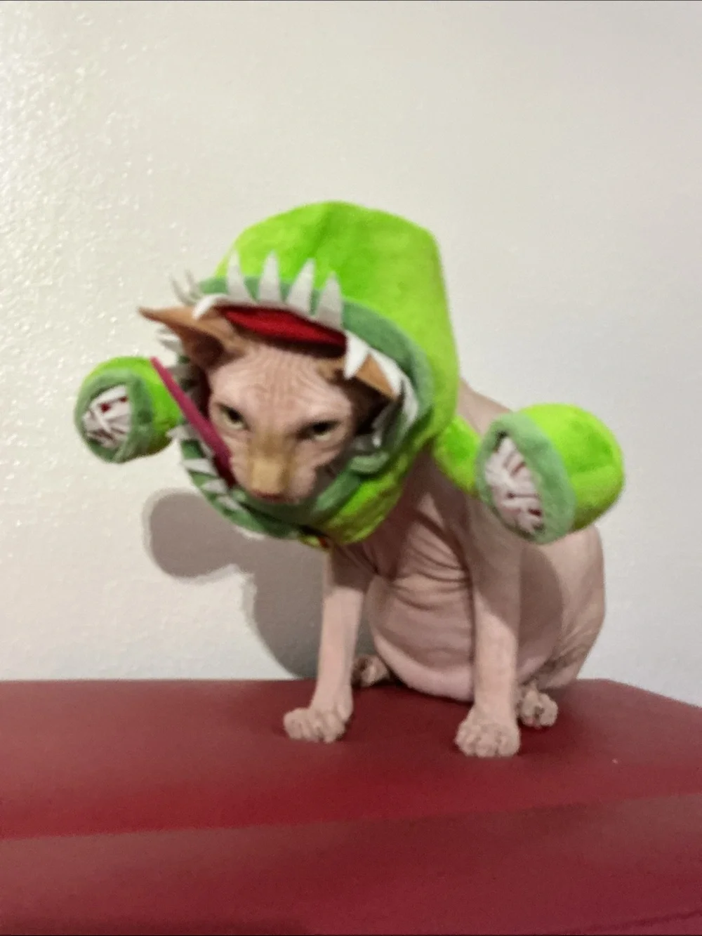 Lot of 2 thrills & chills pet dog cat Halloween costumes Venus Fly Trap Shark S